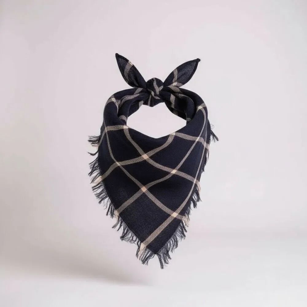 Madewell Plaid Bandana Scarf in Blue Fringed Edge Check Square Kerchief